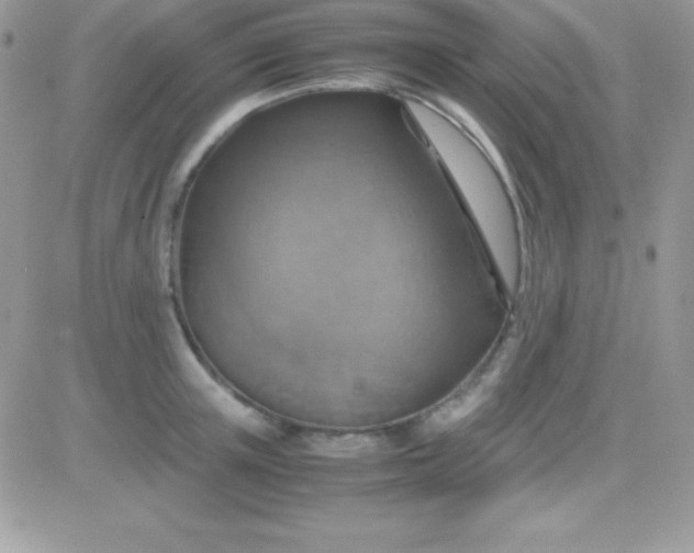 X0000081370851200701252012