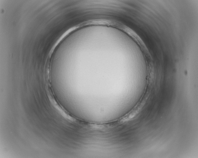 X0000081370852200701252012