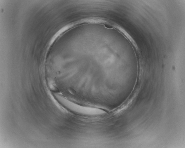 X0000081370853200701252012