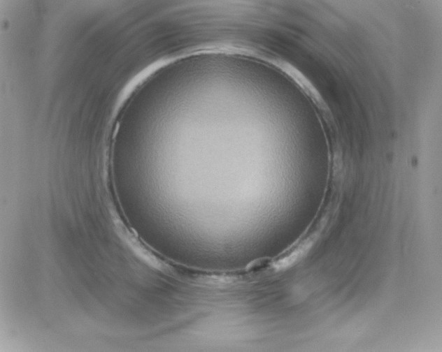 X0000081370854200701252012