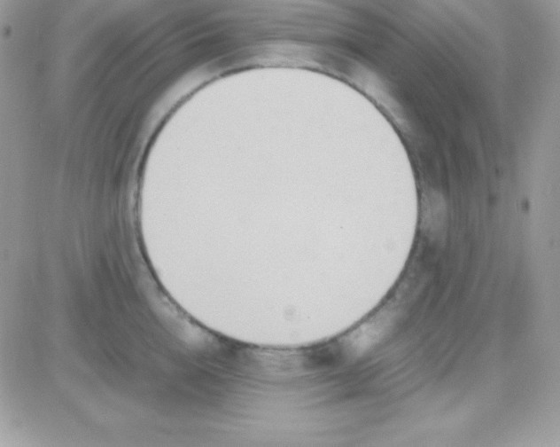 X0000081370856200701252012