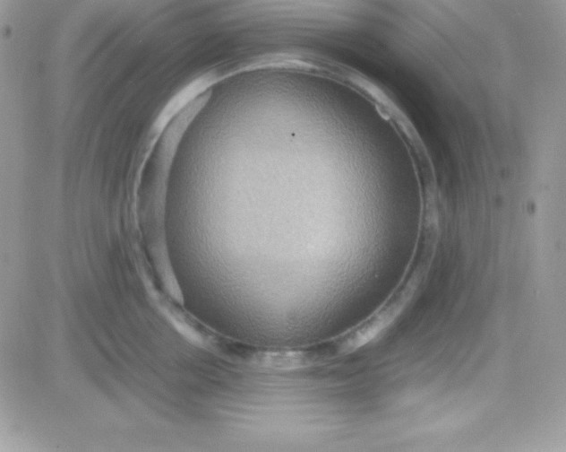 X0000081370858200701252012