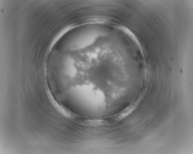 X0000081370859200701252012