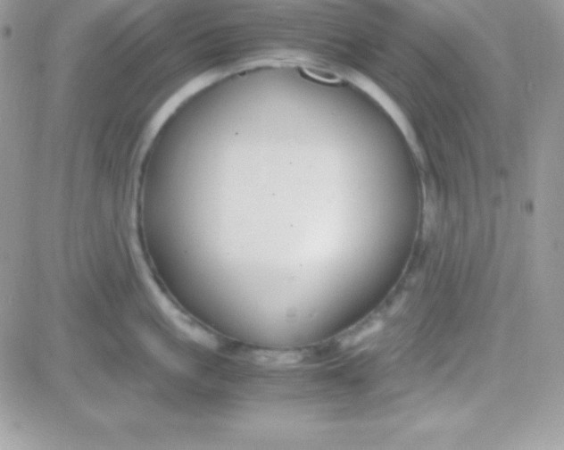 X0000081370861200701252012