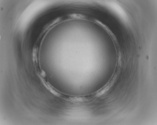 X0000081370862200701252012