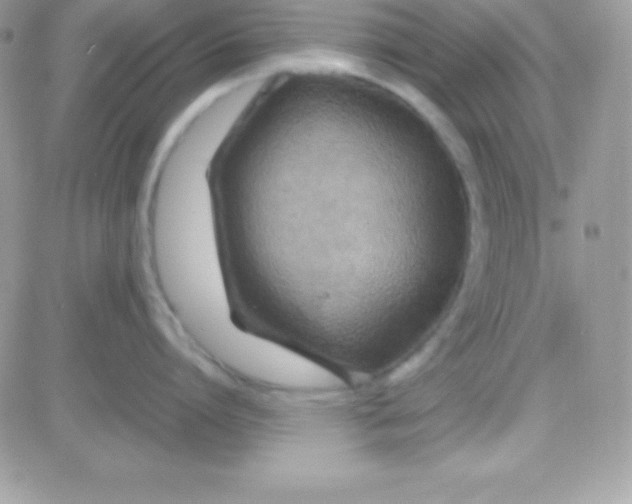 X0000081370864200701252012