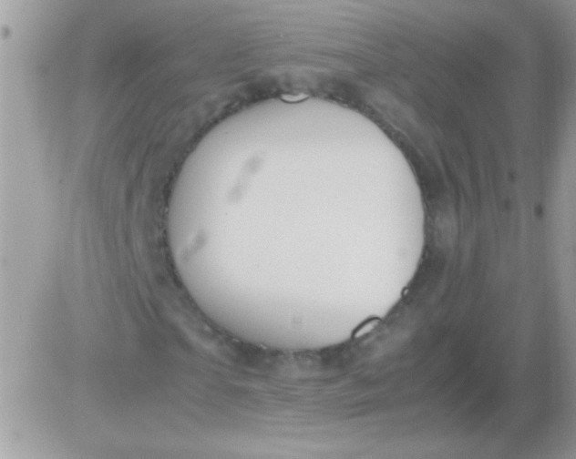 X0000081370865200701252012