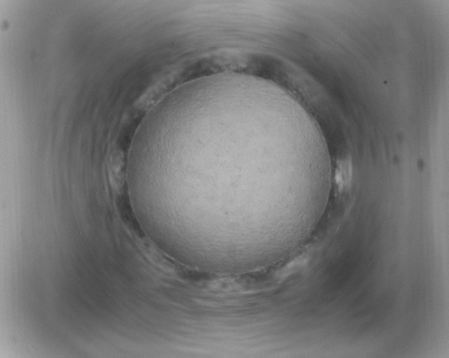 X0000081370867200701252012