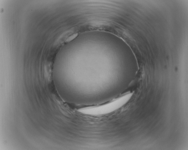 X0000081370868200701252012