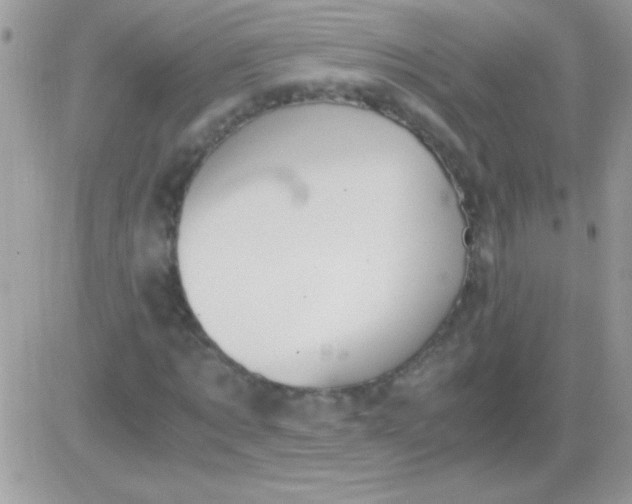 X0000081370869200701252012