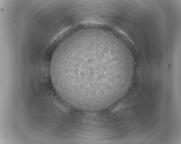 X0000081370870200701252012