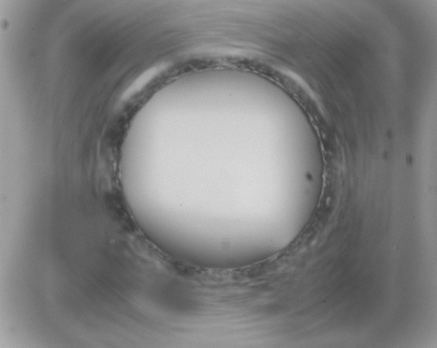 X0000081370871200701252012