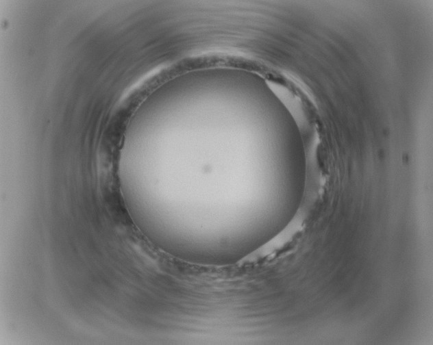 X0000081370872200701252011