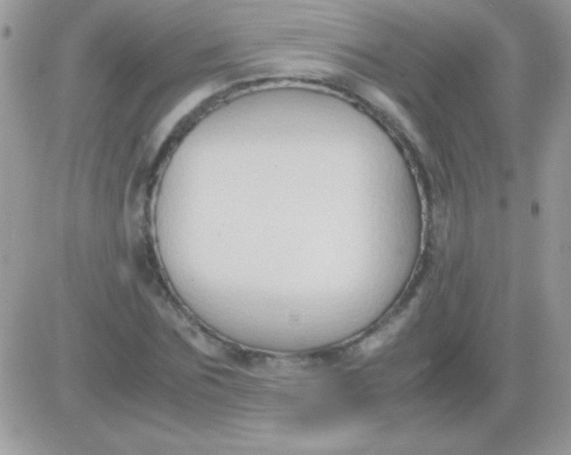 X0000081370875200701252011