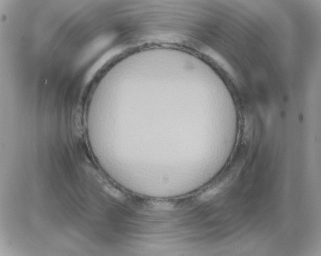 X0000081370878200701252011