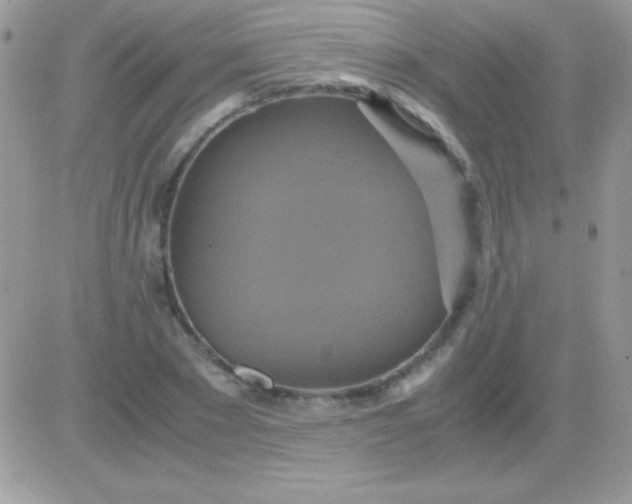 X0000081370881200701252011