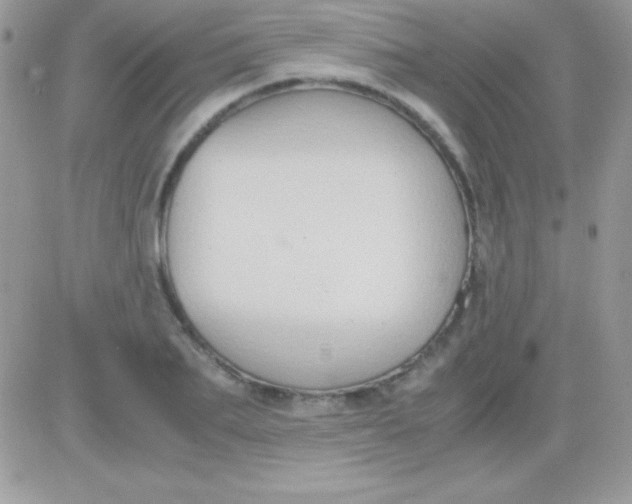 X0000081370887200701252011