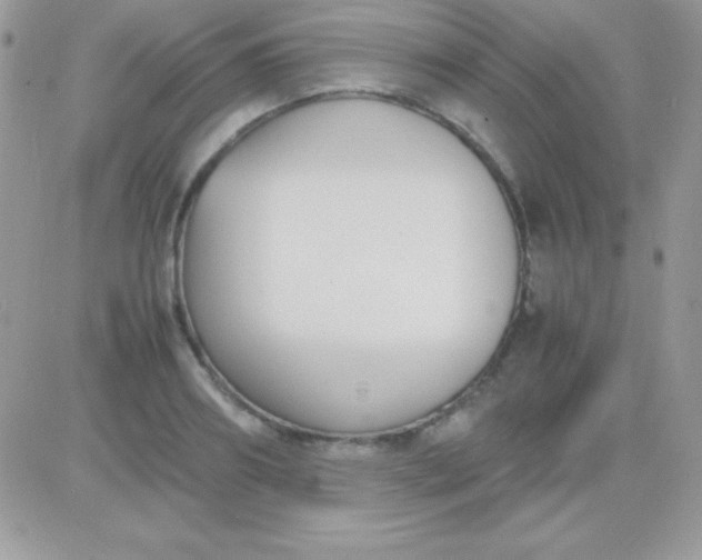 X0000081370890200701252011