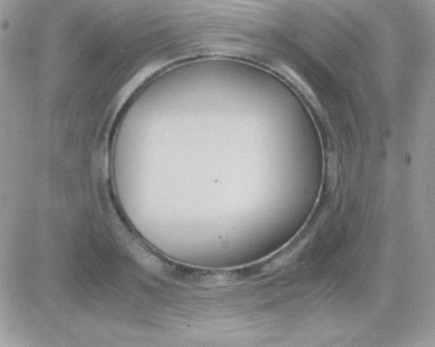 X0000081370891200701252011