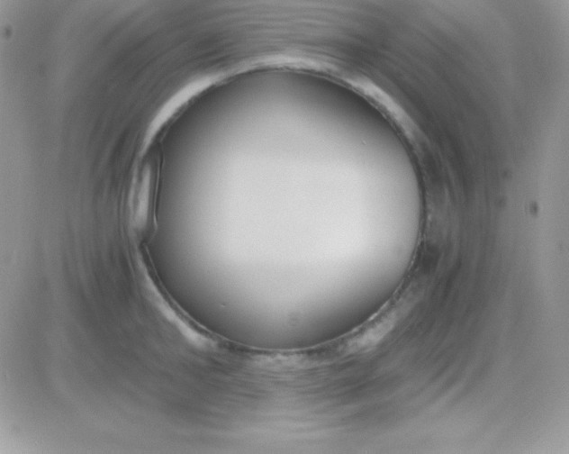 X0000081370902200701252011