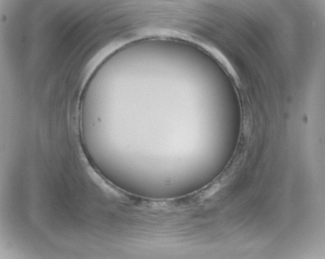 X0000081370903200701252011