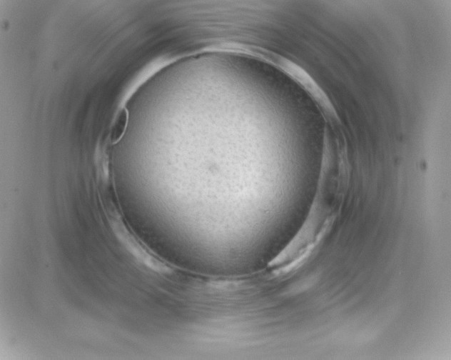 X0000081370908200701252011