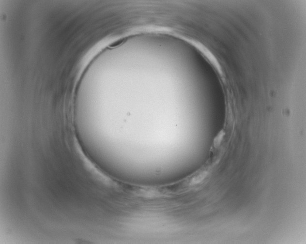 X0000081370911200701252011