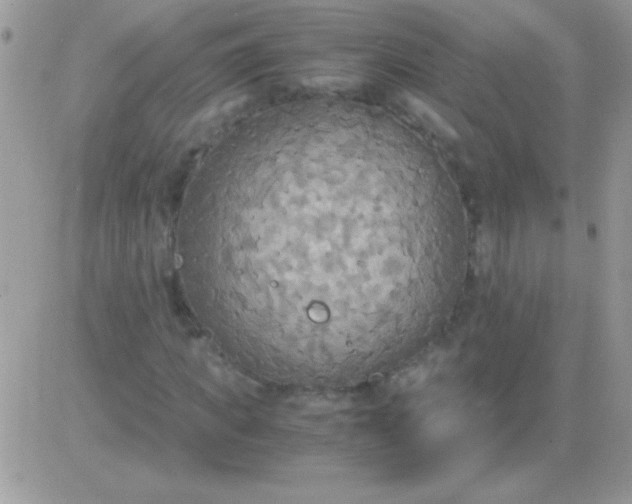 X0000081370917200701252010