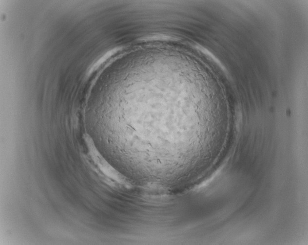 X0000081370921200701252010
