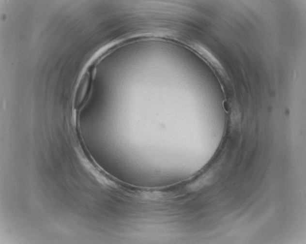 X0000081370940200701252011