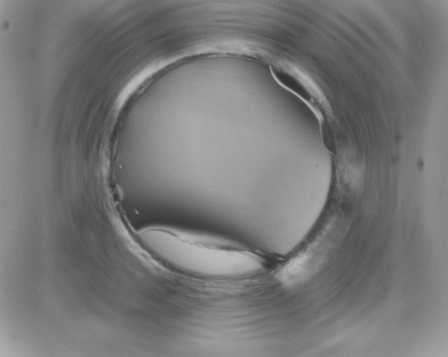 X0000081370944200701252011