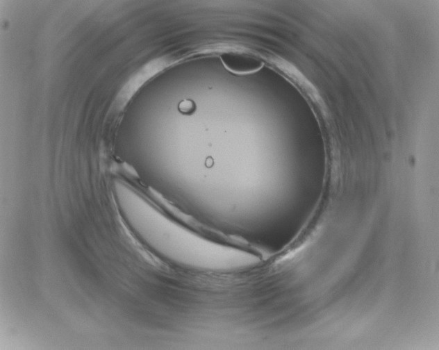 X0000081370945200701252011