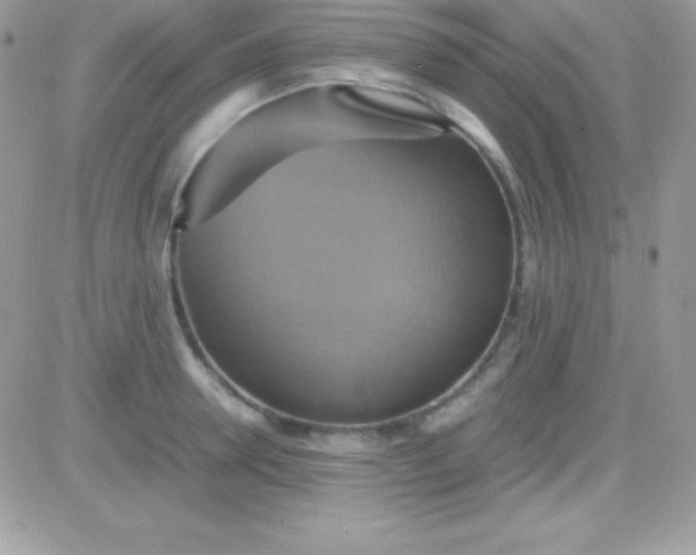 X0000081370946200701252011