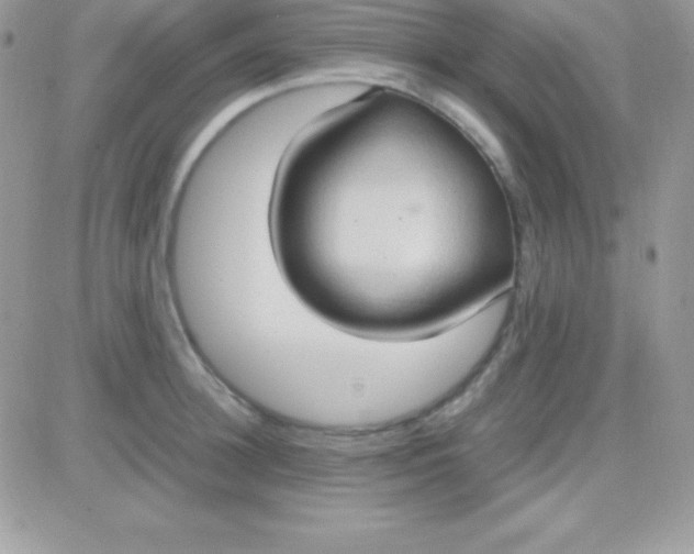 X0000081370948200701252011