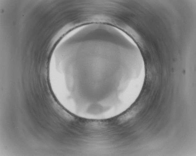 X0000081370950200701252011