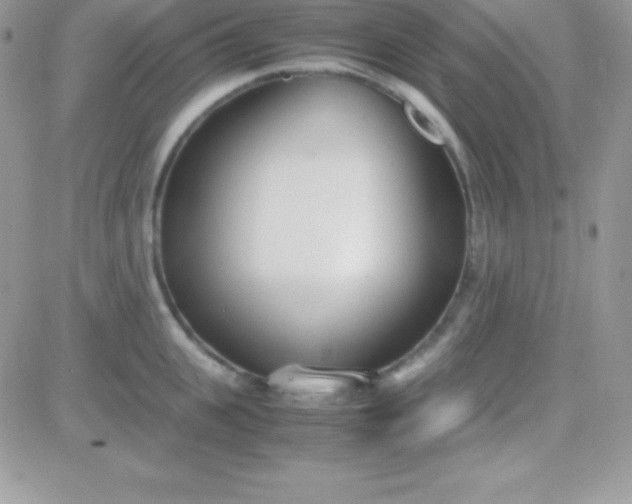 X0000081370951200701252011