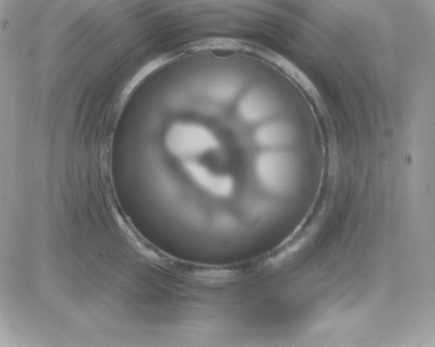 X0000081370953200701252011