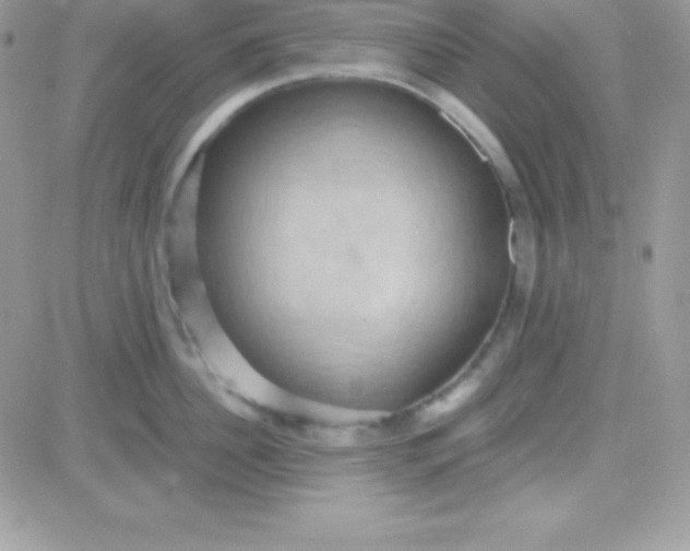 X0000081370956200701252011