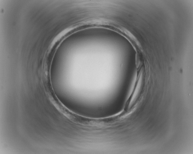 X0000081370981200701252010