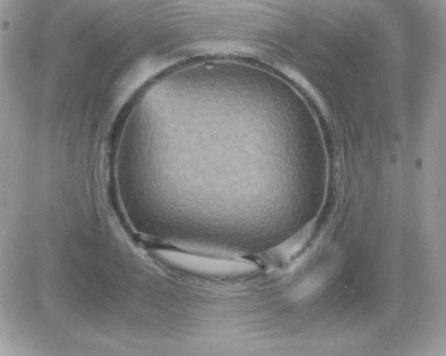 X0000081370983200701252010