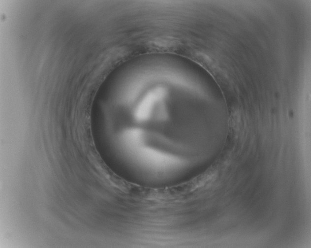X0000081371009200701252009
