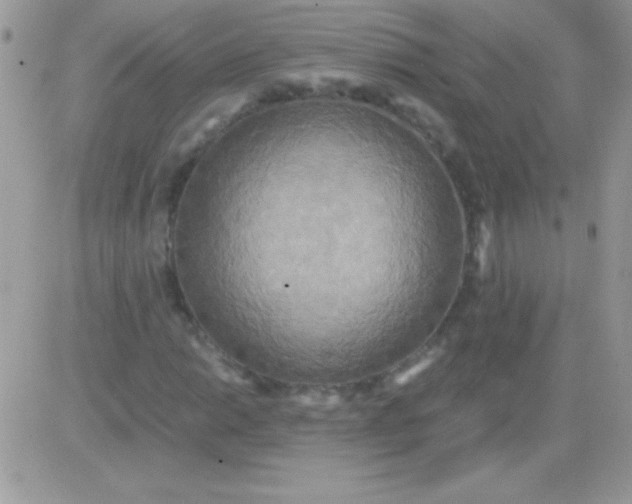 X0000081371014200701252009
