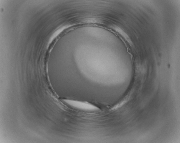 X0000081371023200701252009