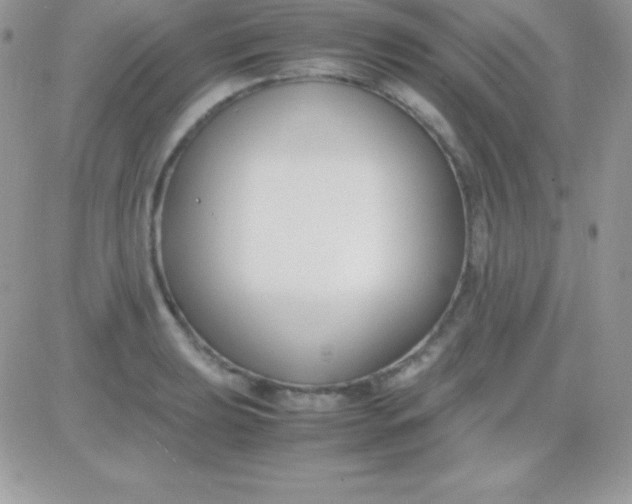 X0000081371039200701252009