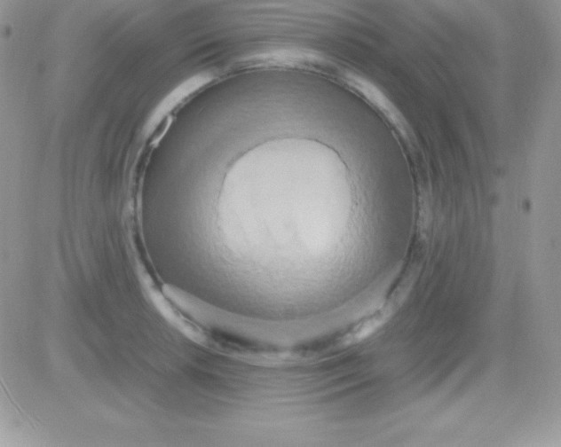 X0000081371042200701252009