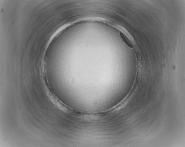 X0000081371044200701252009