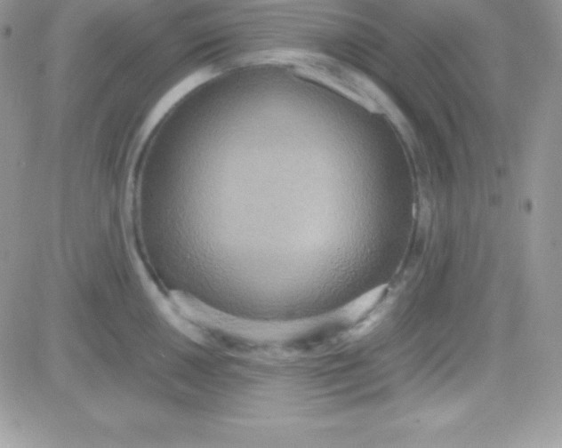 X0000081371050200701252009