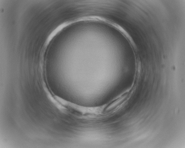 X0000081371054200701252009
