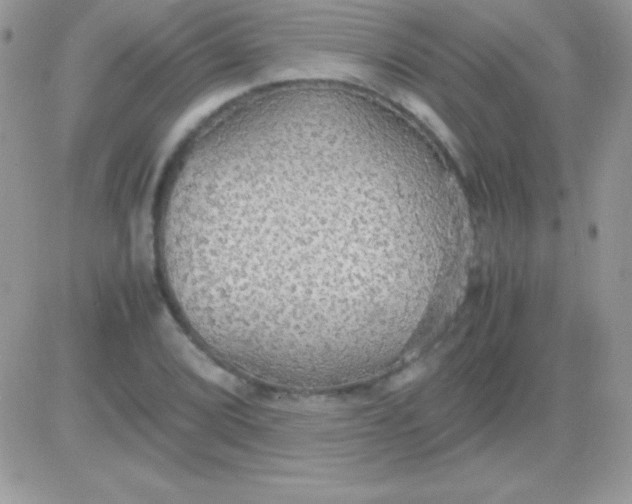 X0000081371072200701252008