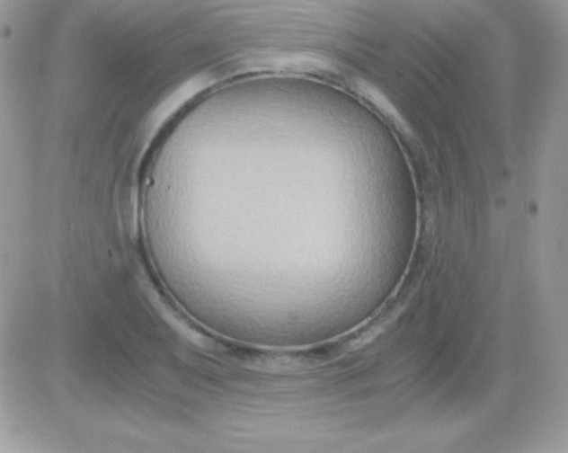 X0000081371079200701252008